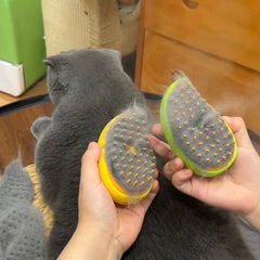 Pet Steam Brush