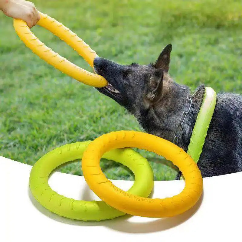 Pet Ring Toy