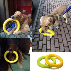 Pet Ring Toy