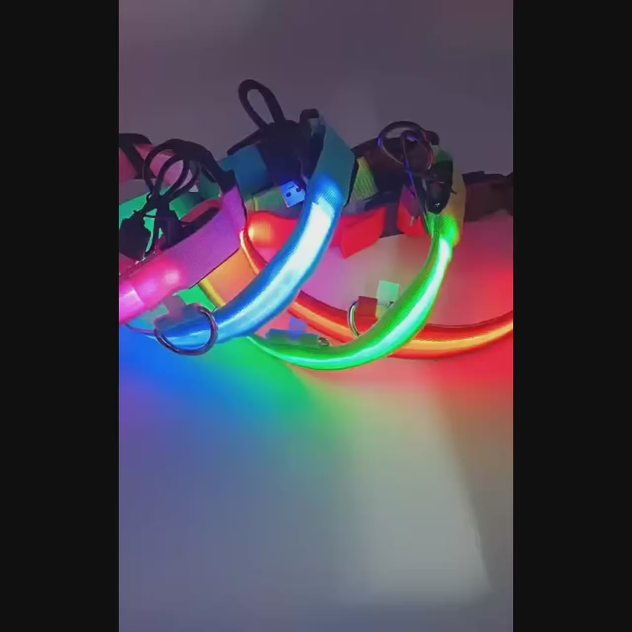 Dog LED Collar